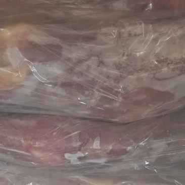 犊牛前腿新鲜到货，3-3.5斤可定制！