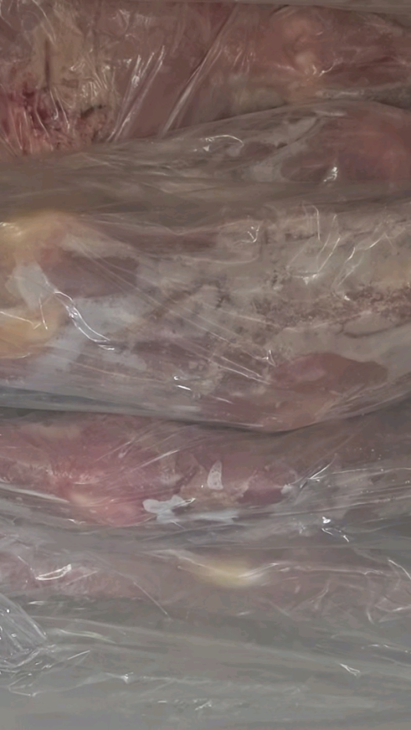 犊牛前腿新鲜到货，3-3.5斤可定制！