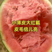小薄皮大红瓤，皮毛倍儿亮！