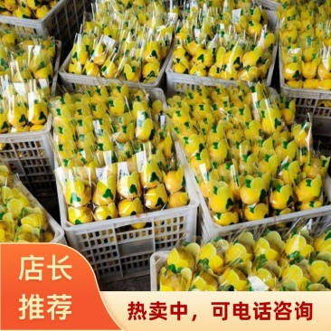 四川资阳安岳县精品尤力克柠檬双新鲜上市产地直供坏果赔