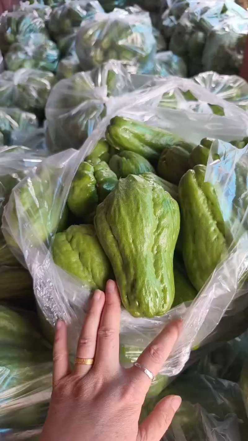 云南精品佛手瓜品质保证货源充足产地装车量大从优