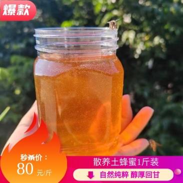 【推荐】土蜂蜜蜂蜜浓稠透亮清甜绵柔对接商超超市