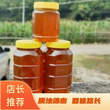 《精选》土蜂蜜深山自然放养醇厚回甘好蜜更实惠