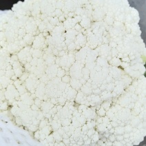 河北昌黎精品有机花上市，六毛起，小平跟特白！