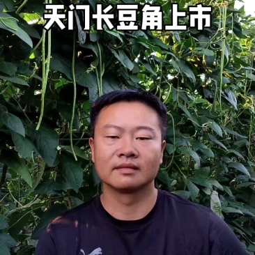 【天门产地直发】新鲜嫩绿豇豆条直肉厚无筋货源充足