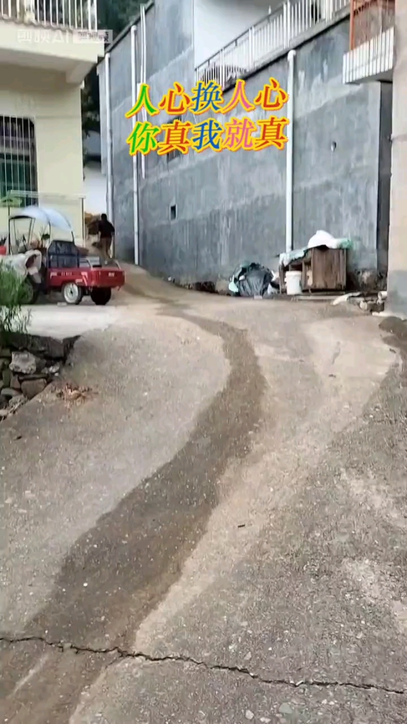 蜂蜜