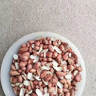 【精品】榨油米花生米合作社自产自销量大价优各种规格欢迎来