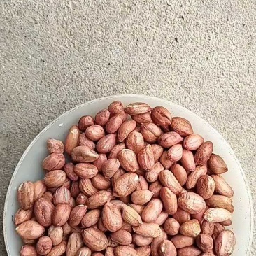 8筛上机打米精选海花花生米农户自产自销，