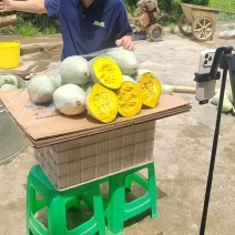 贵族南瓜，丑瓜，现货供应，重庆高山坡地瓜口感好，瓜型漂亮
