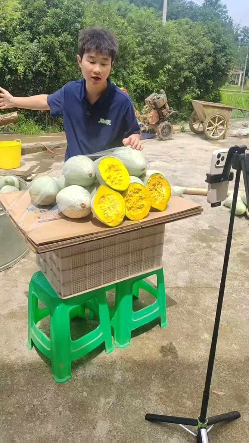 贵族南瓜，丑瓜，现货供应，重庆高山坡地瓜口感好，瓜型漂亮