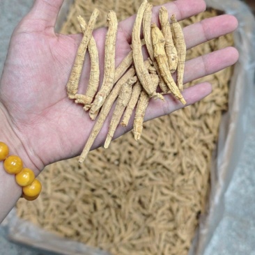 西洋参花旗参整根参条批发零售一件代发泡水煮汤参味浓