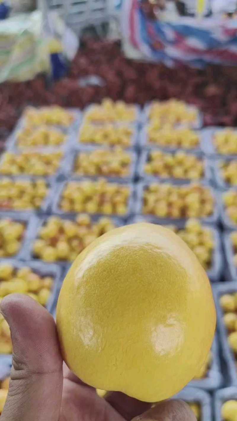 中油4号60规格/65规格