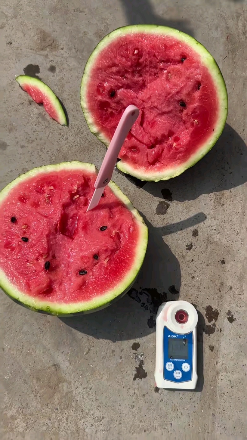 夏邑美都麒麟西瓜/无籽瓜/二茬有籽西瓜/产地直发质量三包
