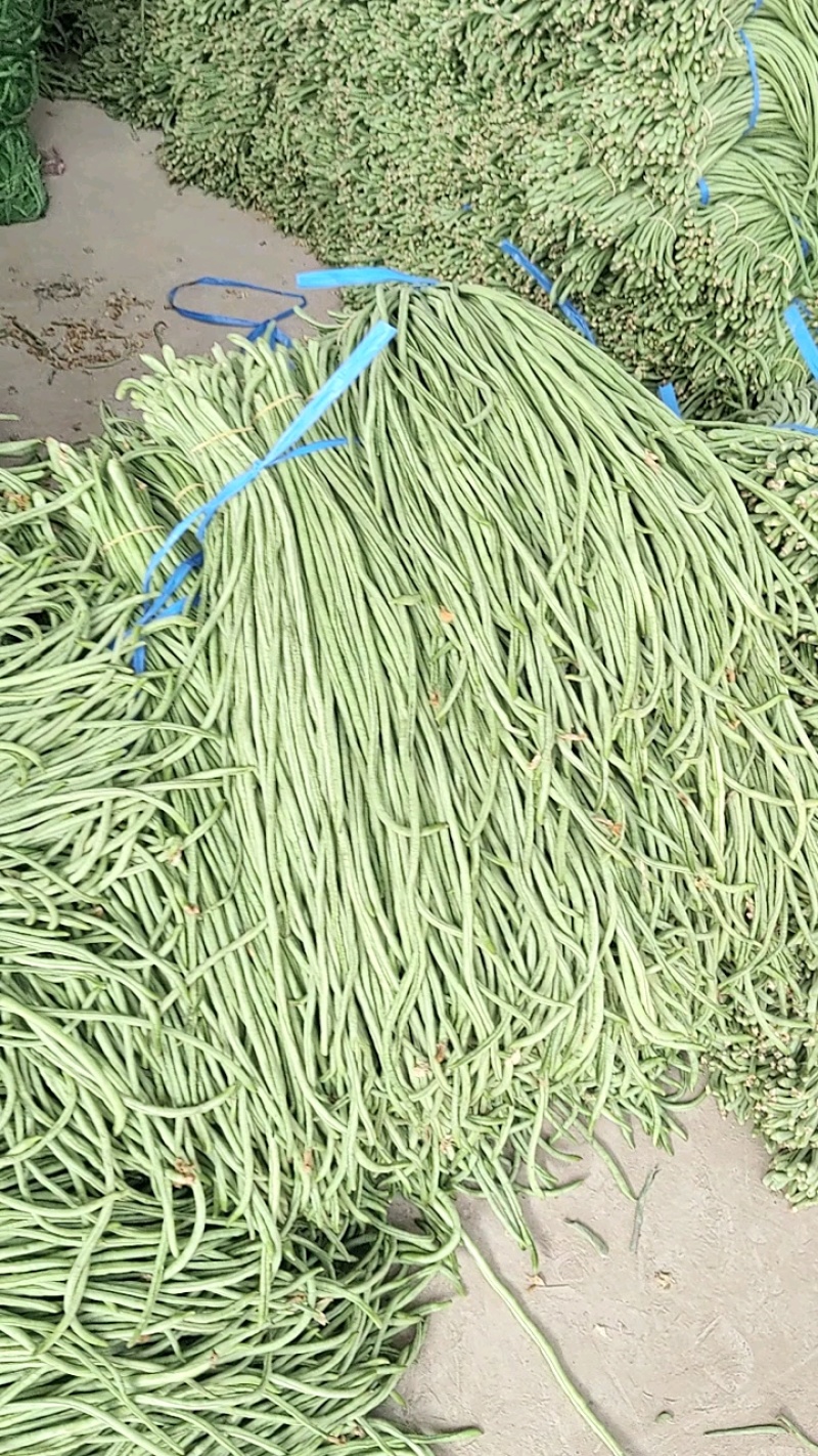 热卖推荐青条豆角对接电商市场商超可视频看货保质量