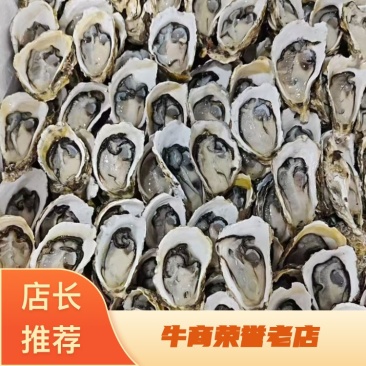 精品生蚝一手货源量大从优