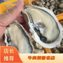 三倍体生蚝产地直销，规格齐全，期待以各大档口、店铺商家合