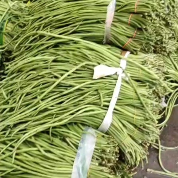 青豇豆只做精品全国代发（商超,市场货,腌菜厂）**