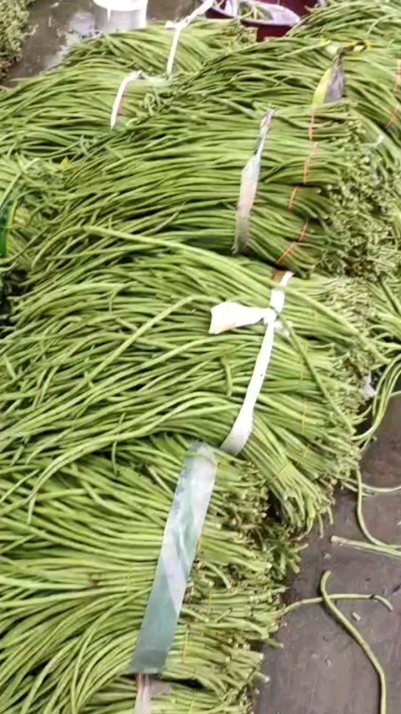 青豇豆只做精品全国代发（商超,市场货,腌菜厂）**