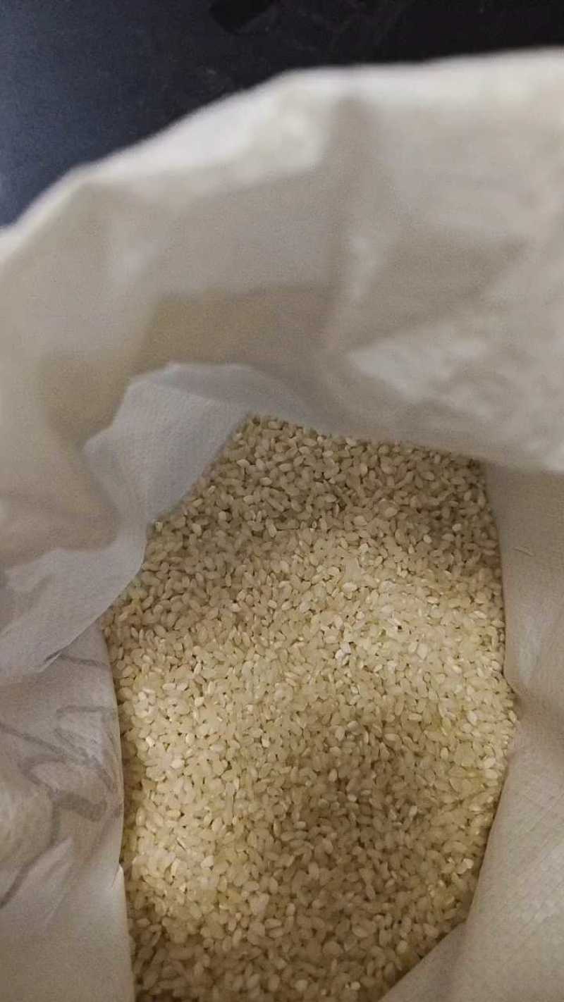 江苏南通5055珍珠米，一手货源量大优惠！