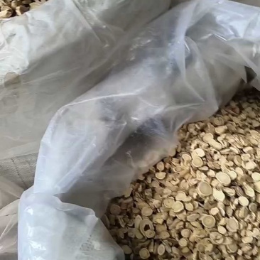 黄芪圆切片干货价格实惠不做虚假宣传