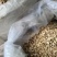 黄芪圆切片干货价格实惠不做虚假宣传