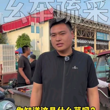邯郸瓠瓜、精品瓠瓜、大量上市价格优惠,条型好、颜色绿!