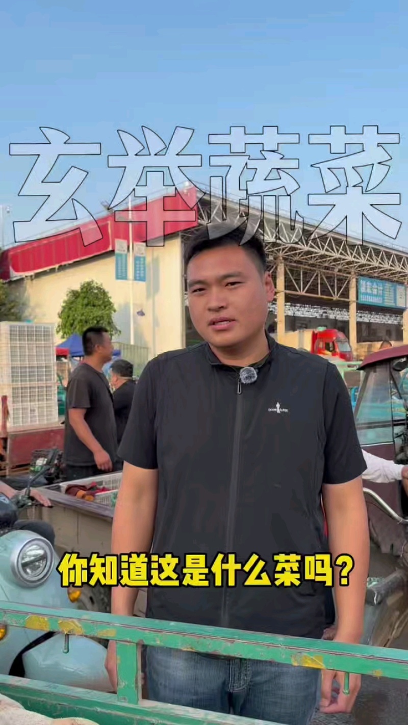 邯郸瓠瓜、精品瓠瓜、大量上市价格优惠，条型好、颜色绿！