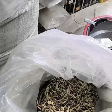 当归,节片,头片品质保障货真价实自有实体店欢迎老板联系