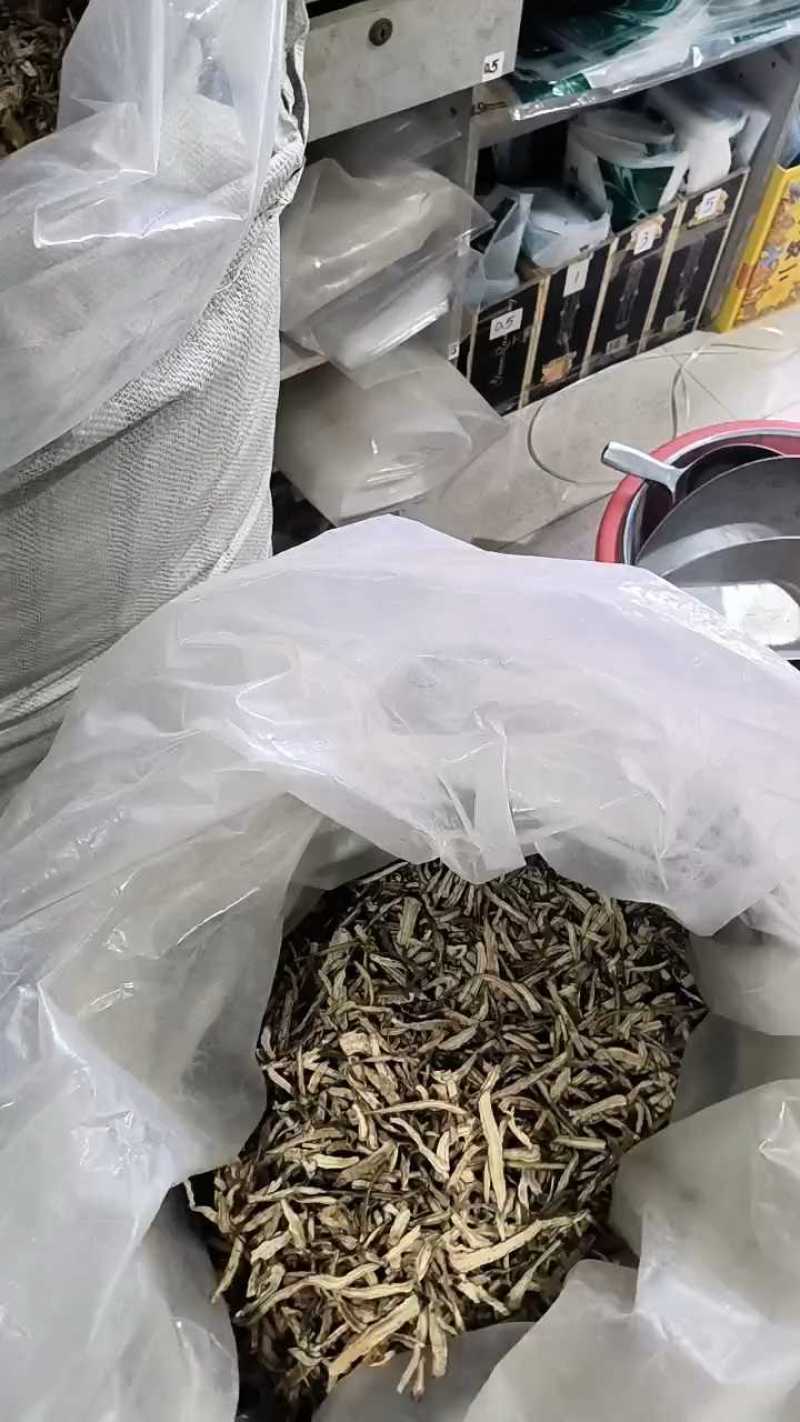 当归，节片，头片品质保障货真价实自有实体店欢迎老板联系