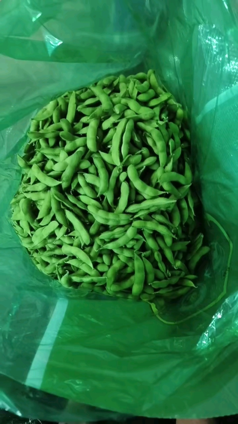 毛豆/翠绿宝毛豆/山东临沂毛豆/毛豆角/全国供应