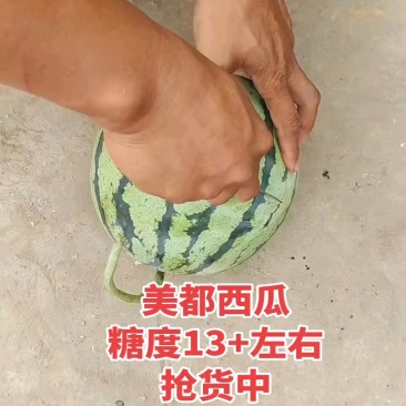 小薄皮大红瓤，正在装车中！