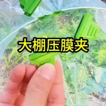 小拱棚压膜夹双头压膜夹大棚压模夹配件