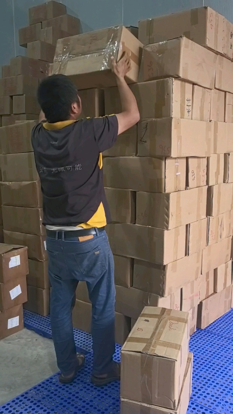 源头工厂批发广西博白精品桂圆肉无硫自然烘干无核龙眼肉多品种