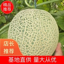 网纹瓜，玫珑嘉华美华牛三，全国发货，直供商超市场，一件代发