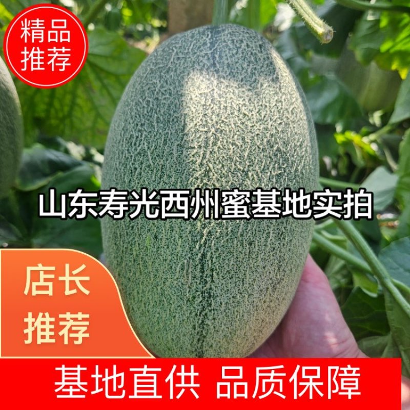 山东西州蜜，产地直销，全国发货，直供商超市场，一件代发