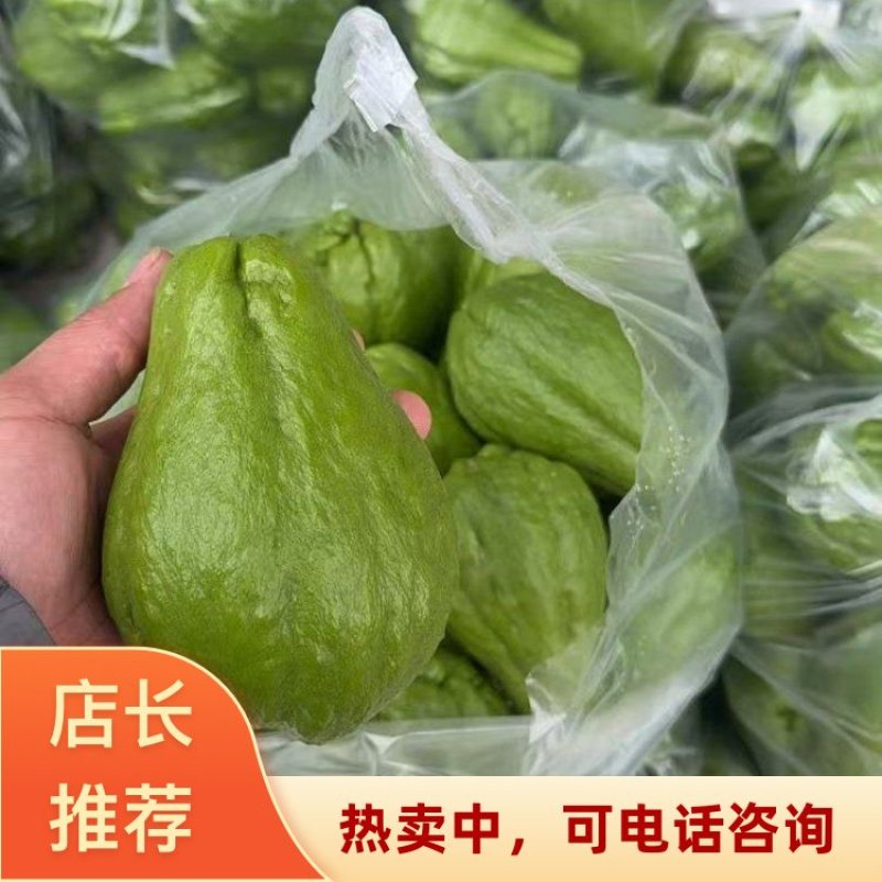 云南精品佛手瓜品质保证货源充足产地装车量大从优