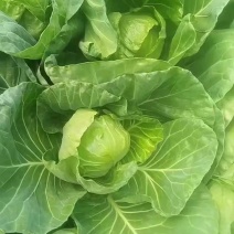 价格接受不了，小菜品质没得说