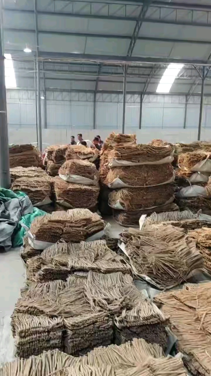 甘肃白条党参药厂货。
