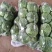 邯郸甘蓝大量到货，收货价0.35元起