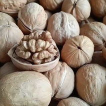 电商平台直供新疆薄皮核桃幸福33可贴牌定制2024新货
