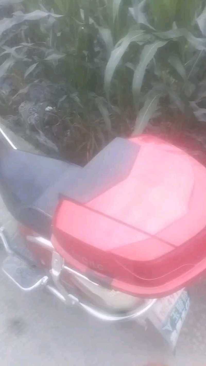 花糯玉米1块4，多规格，正在装车中