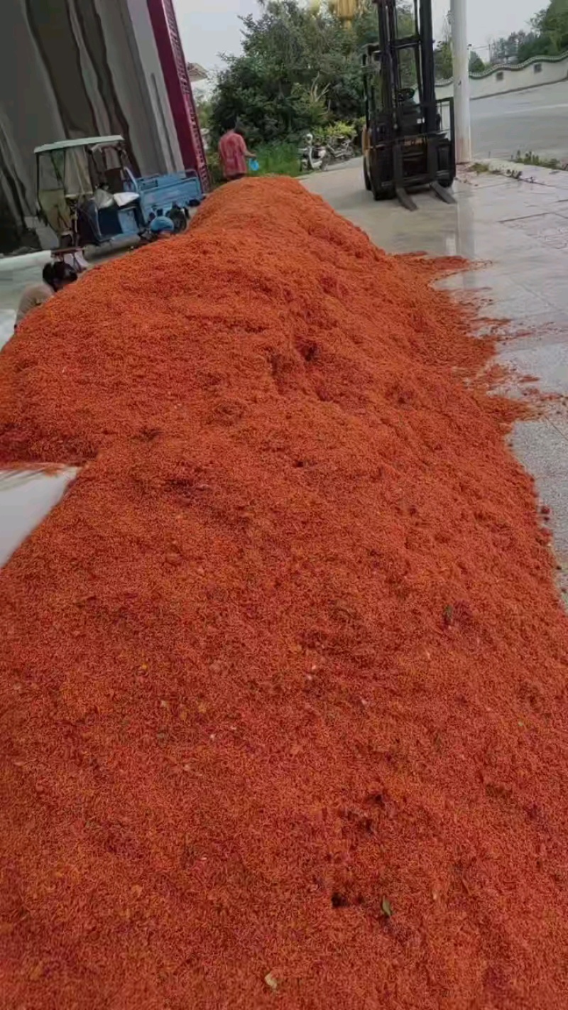 红花，山东，新疆，云南，正品保证