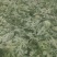甜王瓜个头大，二十五六斤，抓紧联系！