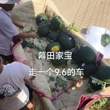 陕西幕田佳宝西瓜，大量供应，代发全国，保质保量