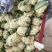 陕西菜花/陕西有机松花菜/基地直发一手货源诚信报价