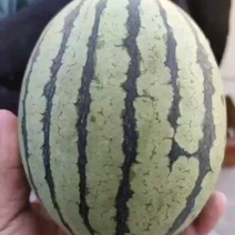 精品无籽手撕瓜，皮薄糖分高，全国代发！