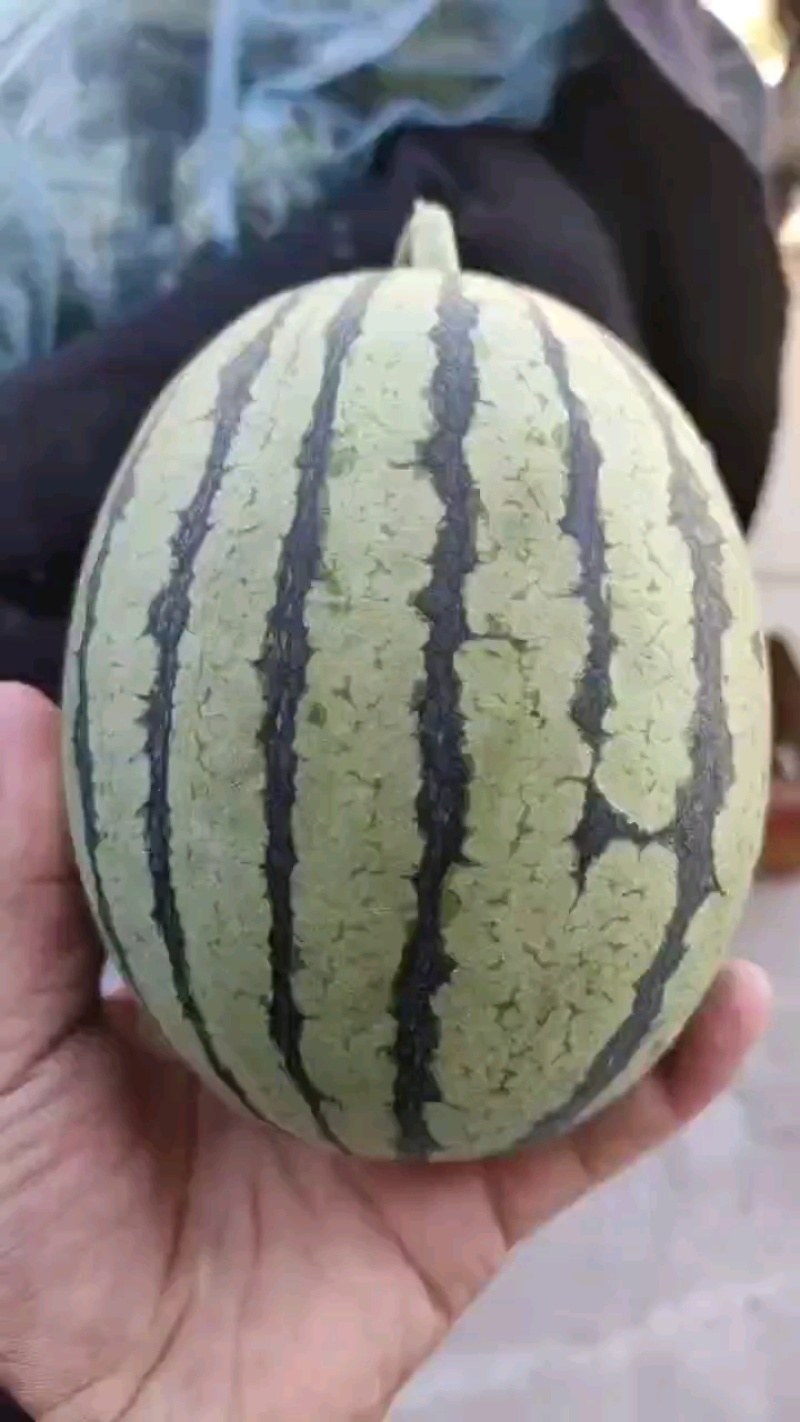 精品无籽手撕瓜，皮薄糖分高，全国代发！