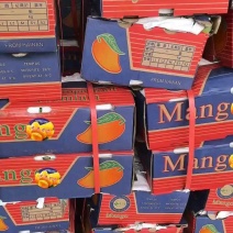 台农芒果3元起，多规格可选！