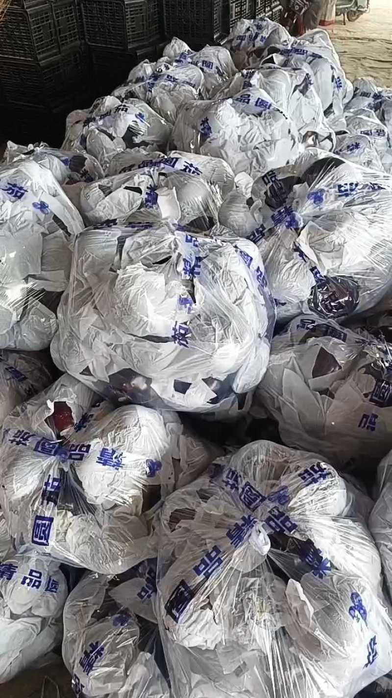 圆茄大量供应，全场两毛一斤！