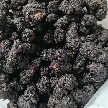 【电商货源】桑椹干厂家大量供应批发质量好干度好